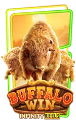 PG-buffalo-win