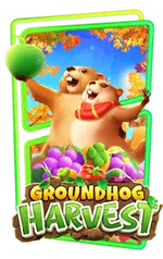 PG-groundhog